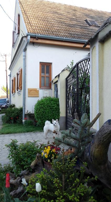 Rudolf'S Fogado Hotel Zsira Екстериор снимка